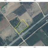  For Sale - (€ 0 / m2), Agricultural 7008 m2 Chrisoupoli 8097874 thumb2