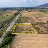  For Sale - (€ 0 / m2), Agricultural 7008 m2 Chrisoupoli 8097874 thumb4