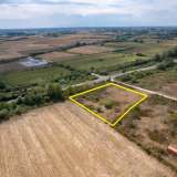  For Sale - (€ 0 / m2), Agricultural 7008 m2 Chrisoupoli 8097874 thumb5