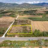  For Sale - (€ 0 / m2), Agricultural 7008 m2 Chrisoupoli 8097874 thumb0
