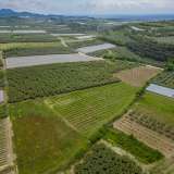 For Sale - (€ 0 / m2), Agricultural 13750 m2 Orfano 8097888 thumb9