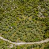  For Sale - (€ 0 / m2), Agricultural 5476.45 m2 Thasos 8097933 thumb6