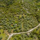  For Sale - (€ 0 / m2), Agricultural 5476.45 m2 Thasos 8097933 thumb7