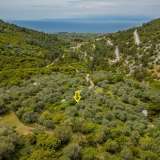  For Sale - (€ 0 / m2), Agricultural 5476.45 m2 Thasos 8097933 thumb0