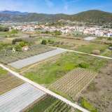  For Sale - (€ 0 / m2), Agricultural 4346 m2 Eleftheres 8097938 thumb6