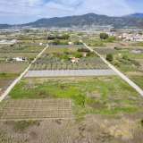  For Sale - (€ 0 / m2), Agricultural 4346 m2 Eleftheres 8097938 thumb7
