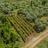  For Sale - (€ 0 / m2), Agricultural 617.04 m2 Thasos 8097973 thumb6