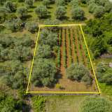  For Sale - (€ 0 / m2), Agricultural 617.04 m2 Thasos 8097973 thumb8