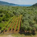  For Sale - (€ 0 / m2), Agricultural 617.04 m2 Thasos 8097973 thumb3