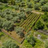  For Sale - (€ 0 / m2), Agricultural 617.04 m2 Thasos 8097973 thumb7