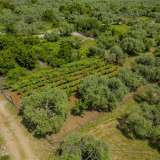  For Sale - (€ 0 / m2), Agricultural 617.04 m2 Thasos 8097973 thumb4