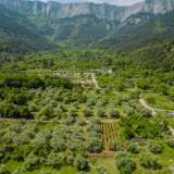  For Sale - (€ 0 / m2), Agricultural 617.04 m2 Thasos 8097973 thumb9