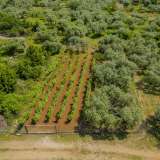  For Sale - (€ 0 / m2), Agricultural 617.04 m2 Thasos 8097973 thumb5