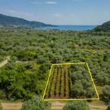  For Sale - (€ 0 / m2), Agricultural 617.04 m2 Thasos 8097973 thumb0