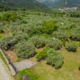  For Sale - (€ 0 / m2), Agricultural 754.03 m2 Thasos 8097984 thumb4