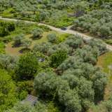  For Sale - (€ 0 / m2), Agricultural 754.03 m2 Thasos 8097984 thumb6