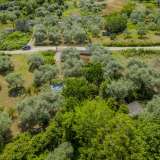  For Sale - (€ 0 / m2), Agricultural 754.03 m2 Thasos 8097984 thumb7