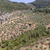  For Sale - (€ 0 / m2), Agricultural 1800 m2 Thasos 8098104 thumb6