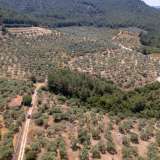  For Sale - (€ 0 / m2), Agricultural 1800 m2 Thasos 8098104 thumb4