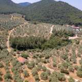  For Sale - (€ 0 / m2), Agricultural 1800 m2 Thasos 8098104 thumb5