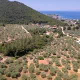  For Sale - (€ 0 / m2), Agricultural 1800 m2 Thasos 8098104 thumb0