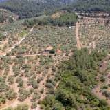  For Sale - (€ 0 / m2), Agricultural 1800 m2 Thasos 8098104 thumb7
