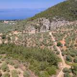  For Sale - (€ 0 / m2), Agricultural 1800 m2 Thasos 8098104 thumb2