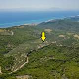  For Sale - (€ 0 / m2), Agricultural 16000 m2 Orfano 8098118 thumb1