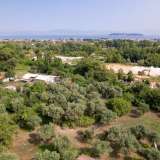  For Sale - (€ 0 / m2), Agricultural 1890 m2 Thasos 8098160 thumb3