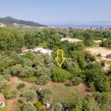  For Sale - (€ 0 / m2), Agricultural 1890 m2 Thasos 8098160 thumb0