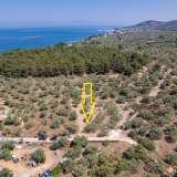  For Sale - (€ 0 / m2), Agricultural 1028 m2 Thasos 8098161 thumb6