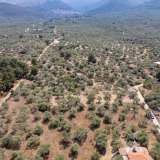  For Sale - (€ 0 / m2), Agricultural 1028 m2 Thasos 8098161 thumb8