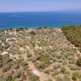  For Sale - (€ 0 / m2), Agricultural 1028 m2 Thasos 8098161 thumb2