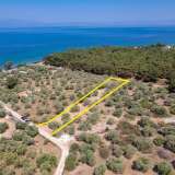  For Sale - (€ 0 / m2), Agricultural 1028 m2 Thasos 8098161 thumb0