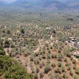  For Sale - (€ 0 / m2), Agricultural 1028 m2 Thasos 8098161 thumb9