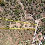  For Sale - (€ 0 / m2), Agricultural 1028 m2 Thasos 8098161 thumb5