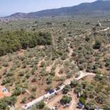  For Sale - (€ 0 / m2), Agricultural 1028 m2 Thasos 8098161 thumb7