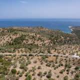  For Sale - (€ 0 / m2), Agricultural 2910 m2 Thasos 8098162 thumb3