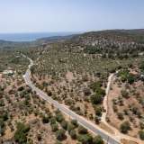  For Sale - (€ 0 / m2), Agricultural 2910 m2 Thasos 8098162 thumb8