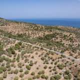  For Sale - (€ 0 / m2), Agricultural 2910 m2 Thasos 8098162 thumb4