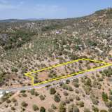  For Sale - (€ 0 / m2), Agricultural 2910 m2 Thasos 8098162 thumb2