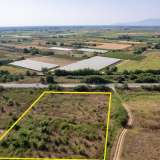  For Sale - (€ 0 / m2), Agricultural 6625 m2 Chrisoupoli 8098217 thumb5