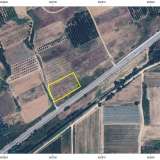  For Sale - (€ 0 / m2), Agricultural 6625 m2 Chrisoupoli 8098217 thumb3