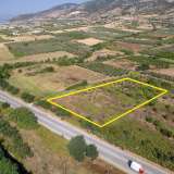  For Sale - (€ 0 / m2), Agricultural 6625 m2 Chrisoupoli 8098217 thumb8