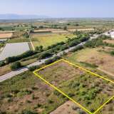  For Sale - (€ 0 / m2), Agricultural 6625 m2 Chrisoupoli 8098217 thumb4