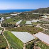  For Sale - (€ 0 / m2), Agricultural 4373 m2 Eleftheres 8098231 thumb5