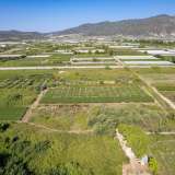  For Sale - (€ 0 / m2), Agricultural 2700 m2 Eleftheres 8098232 thumb6