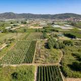  For Sale - (€ 0 / m2), Agricultural 2700 m2 Eleftheres 8098232 thumb8