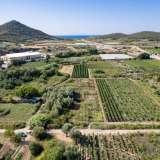  For Sale - (€ 0 / m2), Agricultural 2700 m2 Eleftheres 8098232 thumb7