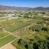  For Sale - (€ 0 / m2), Agricultural 2700 m2 Eleftheres 8098232 thumb4